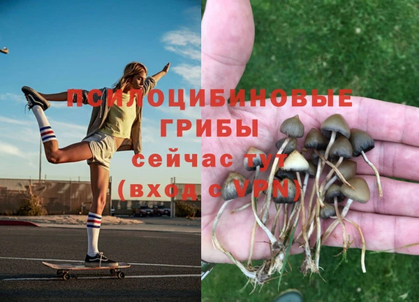 молекула духа Алексеевка
