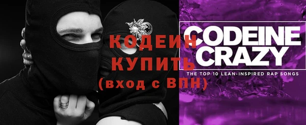 хмурый Алексин