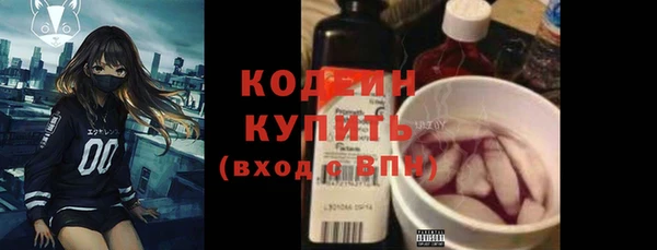 хмурый Алексин