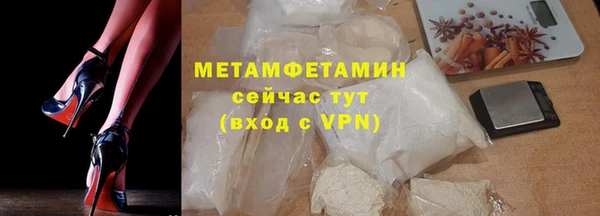 хмурый Алексин