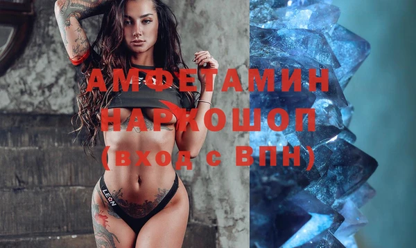 молекула духа Алексеевка