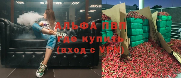 хмурый Алексин