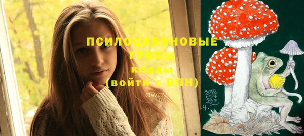 молекула духа Алексеевка