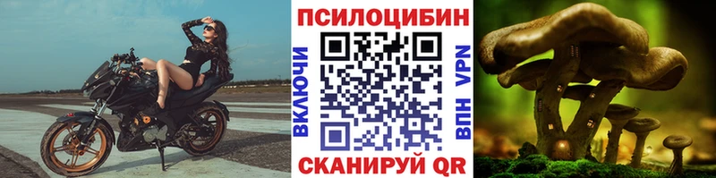 Галлюциногенные грибы Psilocybe  Олонец 